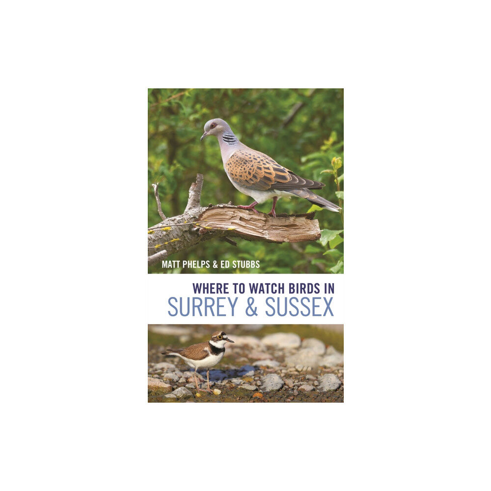 Bloomsbury Publishing PLC Where to Watch Birds in Surrey and Sussex (häftad, eng)