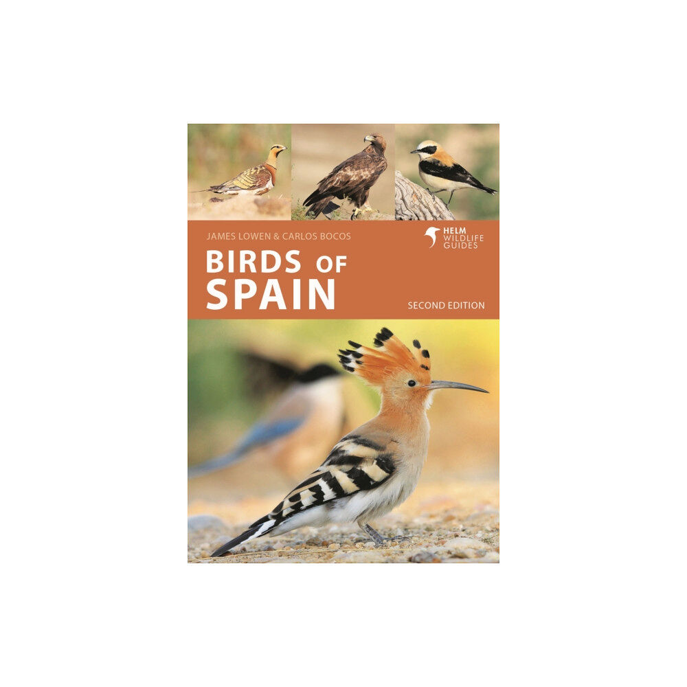Bloomsbury Publishing PLC Birds of Spain (häftad, eng)