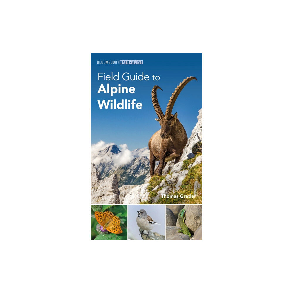 Bloomsbury Publishing PLC Field Guide to Alpine Wildlife (häftad, eng)