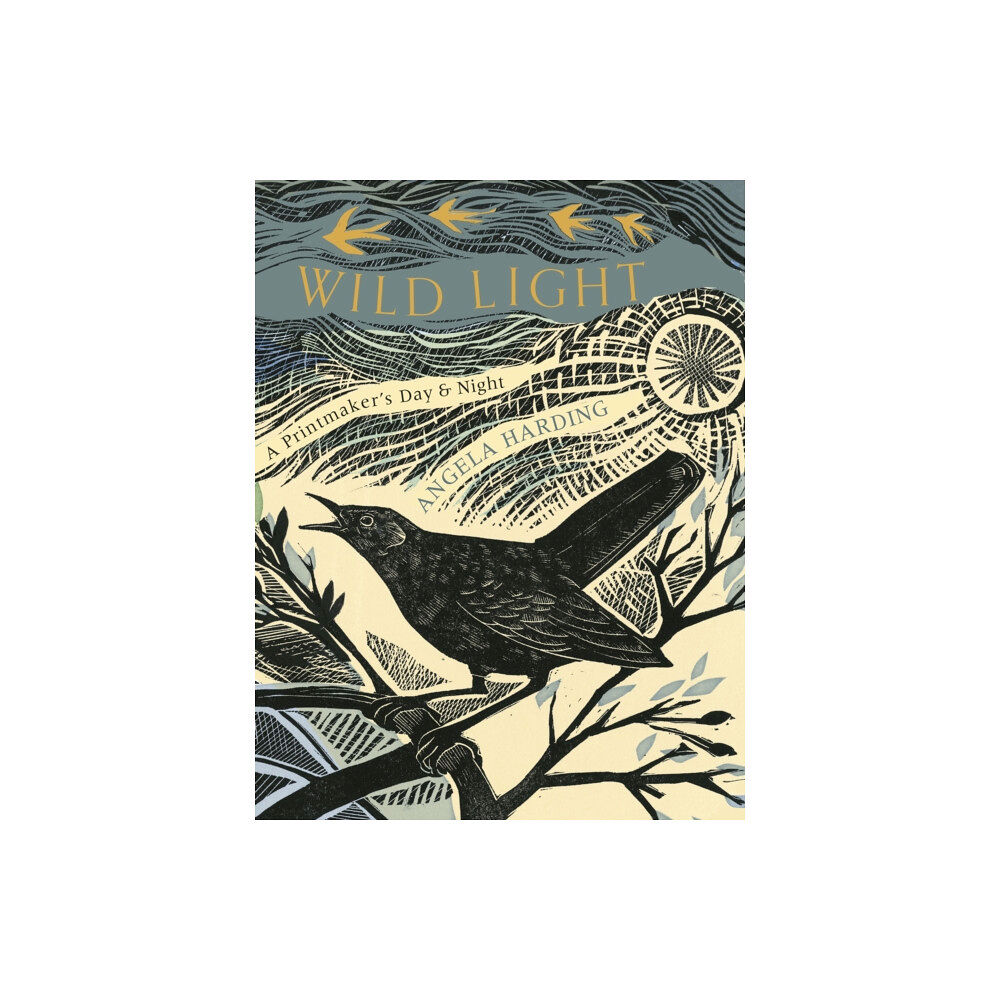 Little, Brown Book Group Wild Light (inbunden, eng)