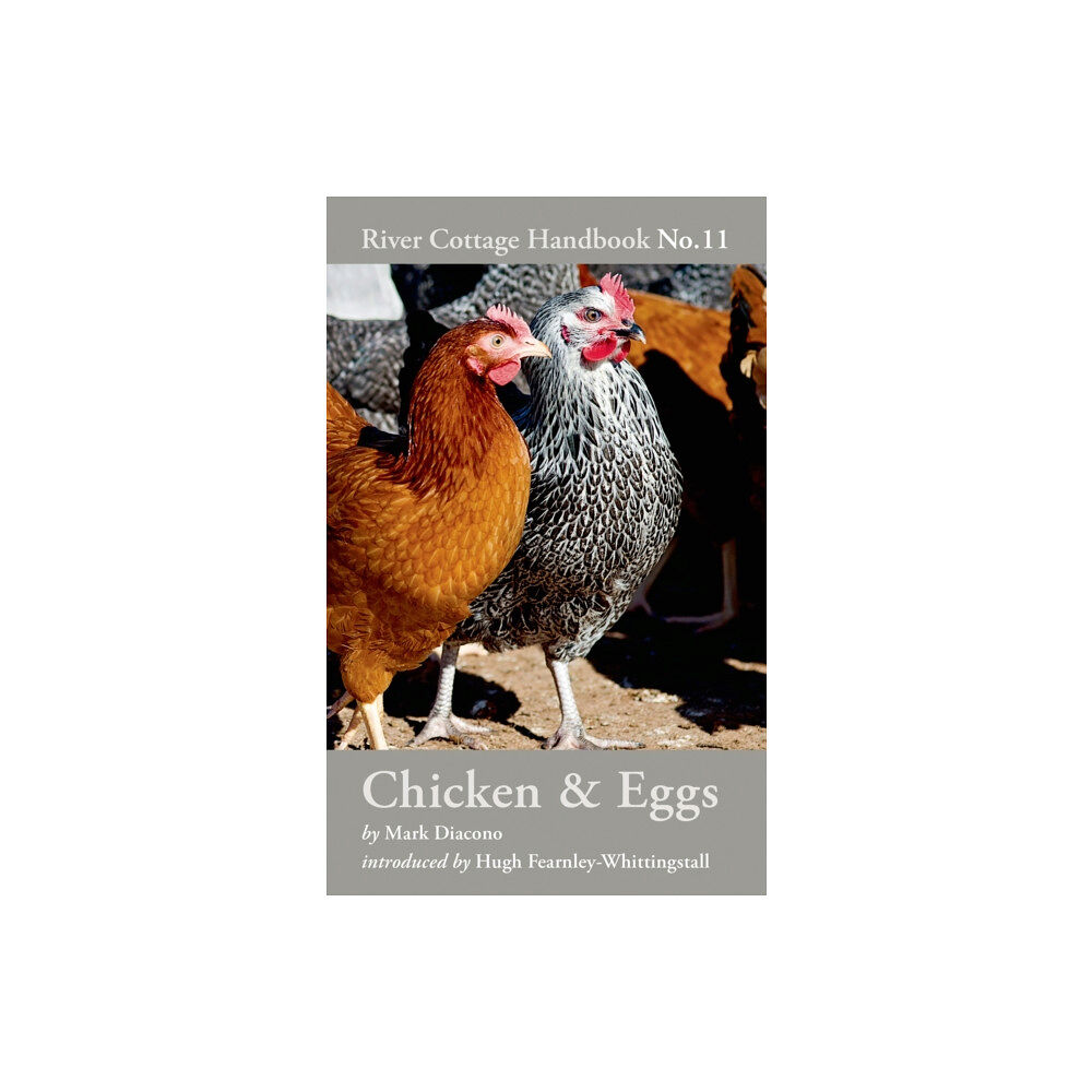 Bloomsbury Publishing PLC Chicken & Eggs (inbunden, eng)