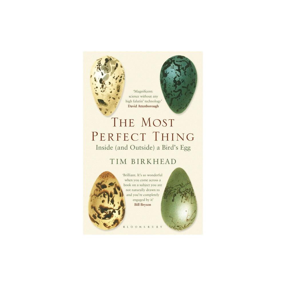 Bloomsbury Publishing PLC The Most Perfect Thing (häftad, eng)
