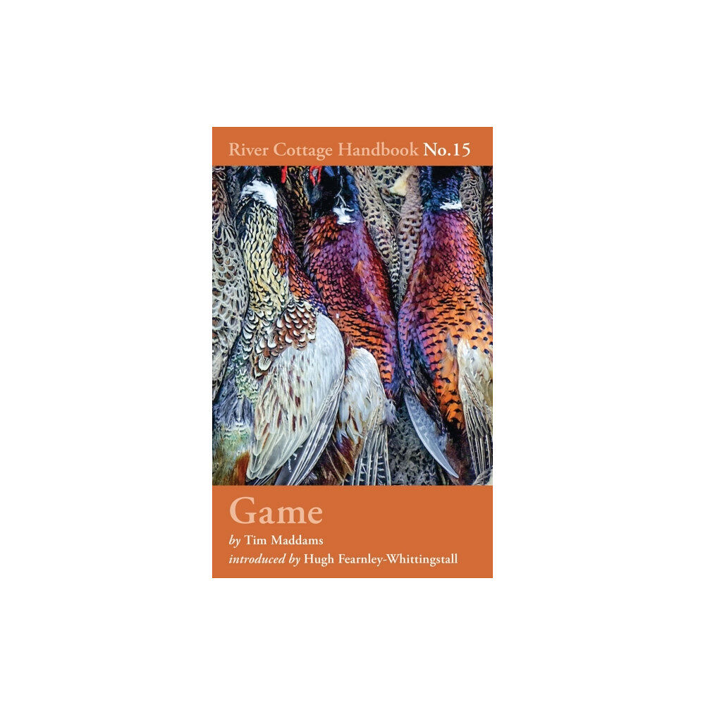 Bloomsbury Publishing PLC Game (inbunden, eng)