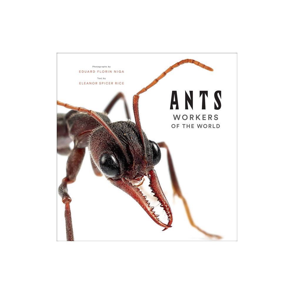 Abrams Ants: Workers of the World (inbunden, eng)