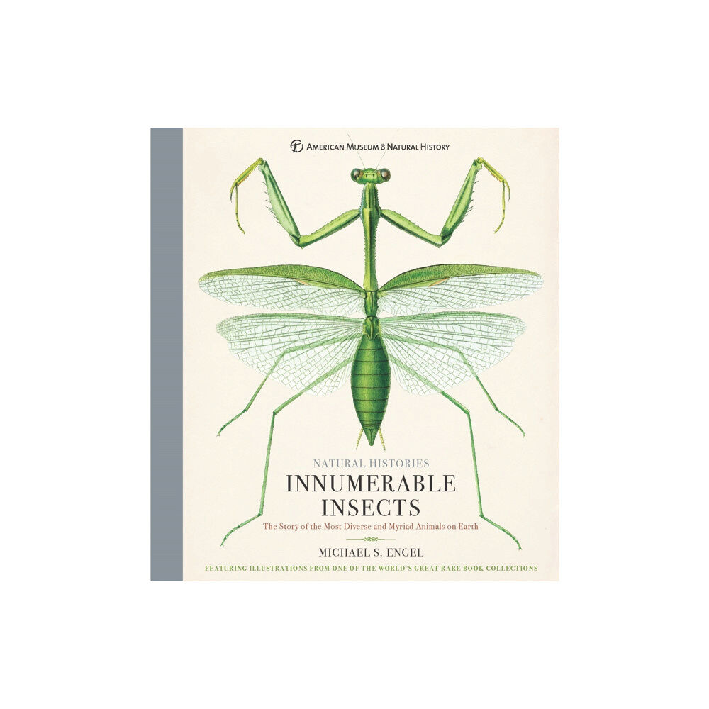 Union Square & Co. Innumerable Insects (inbunden, eng)