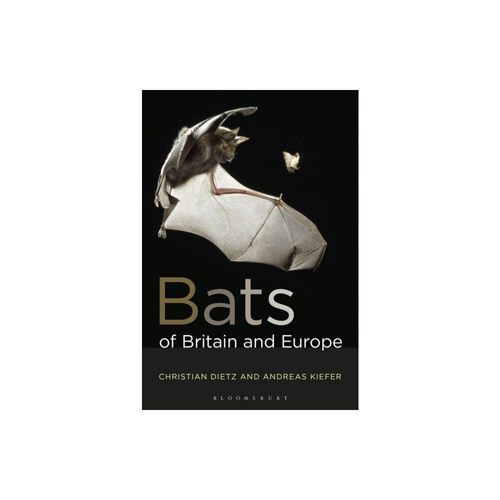 Bloomsbury Publishing PLC Bats of Britain and Europe (häftad, eng)