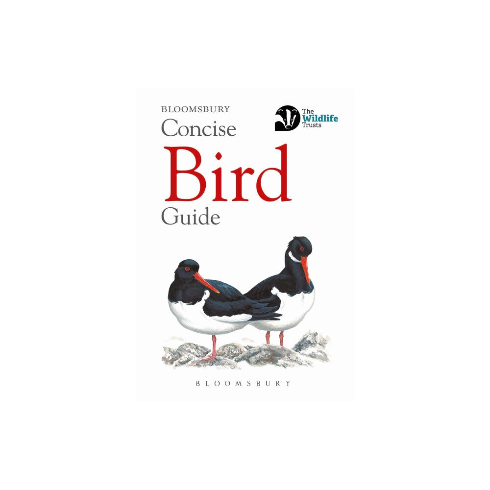 Bloomsbury Publishing PLC Concise Bird Guide (häftad, eng)