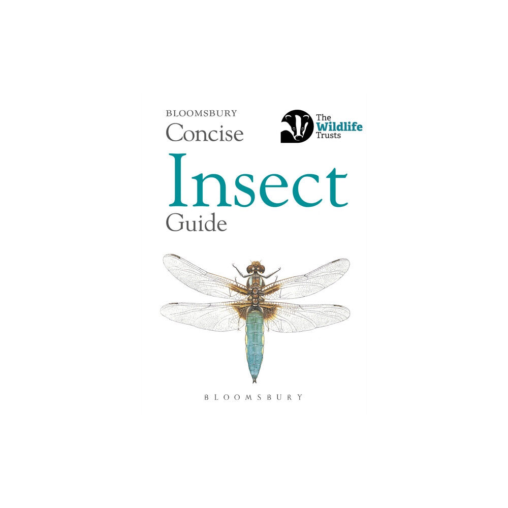 Bloomsbury Publishing PLC Concise Insect Guide (häftad, eng)