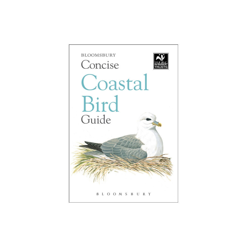 Bloomsbury Publishing PLC Concise Coastal Bird Guide (häftad, eng)
