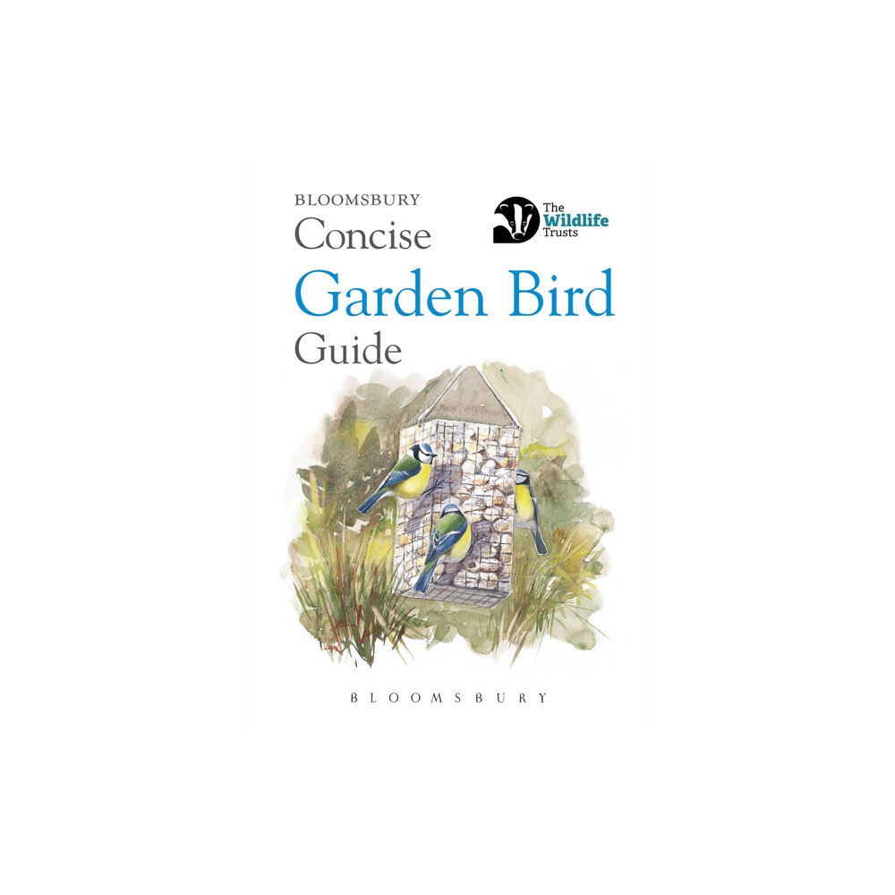 Bloomsbury Publishing PLC Concise Garden Bird Guide (häftad, eng)
