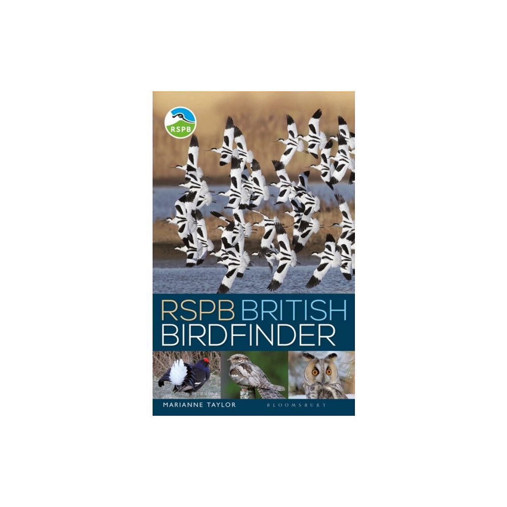 Bloomsbury Publishing PLC RSPB British Birdfinder (häftad, eng)