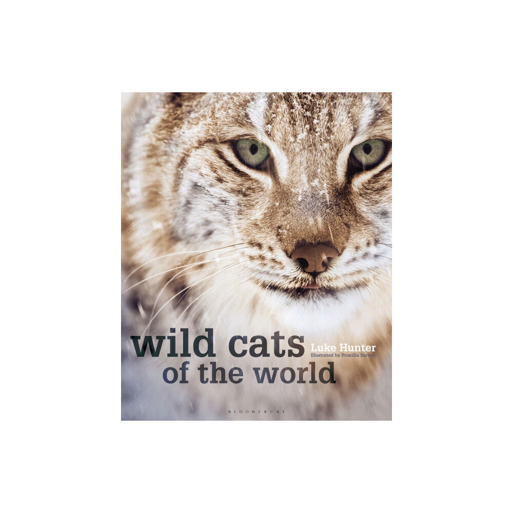 Bloomsbury Publishing PLC Wild Cats of the World (inbunden, eng)