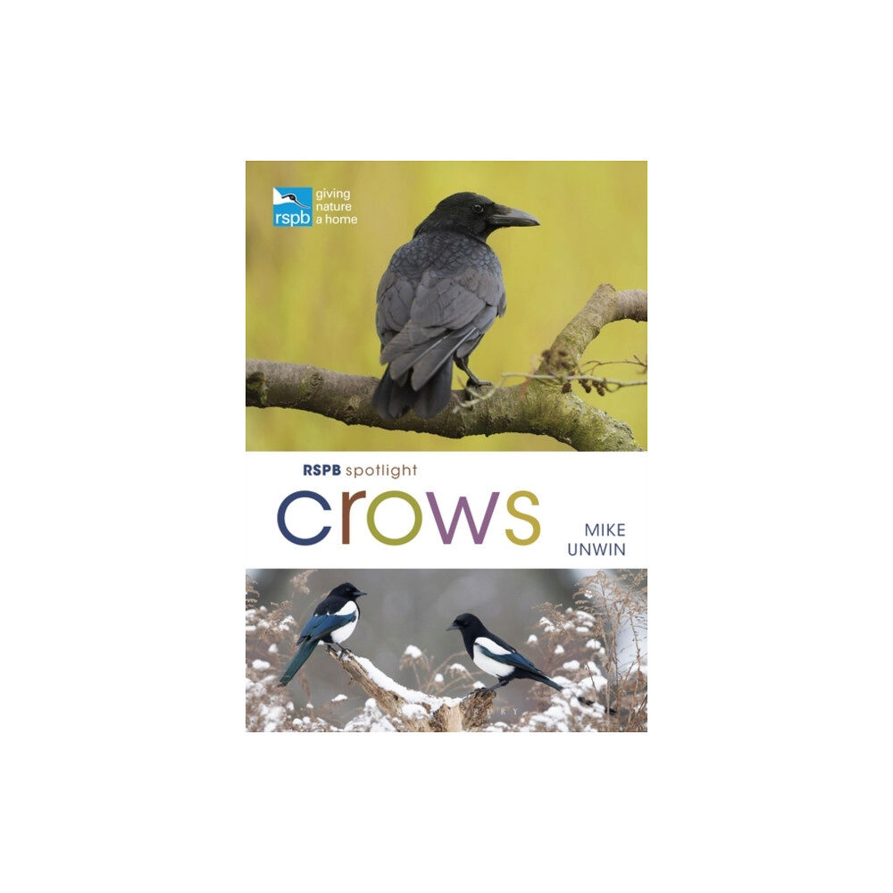 Bloomsbury Publishing PLC RSPB Spotlight Crows (häftad, eng)
