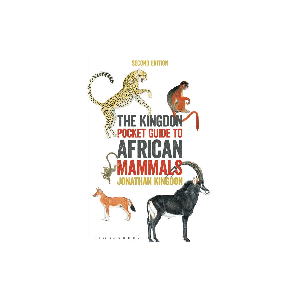 Bloomsbury Publishing PLC The Kingdon Pocket Guide to African Mammals (häftad, eng)
