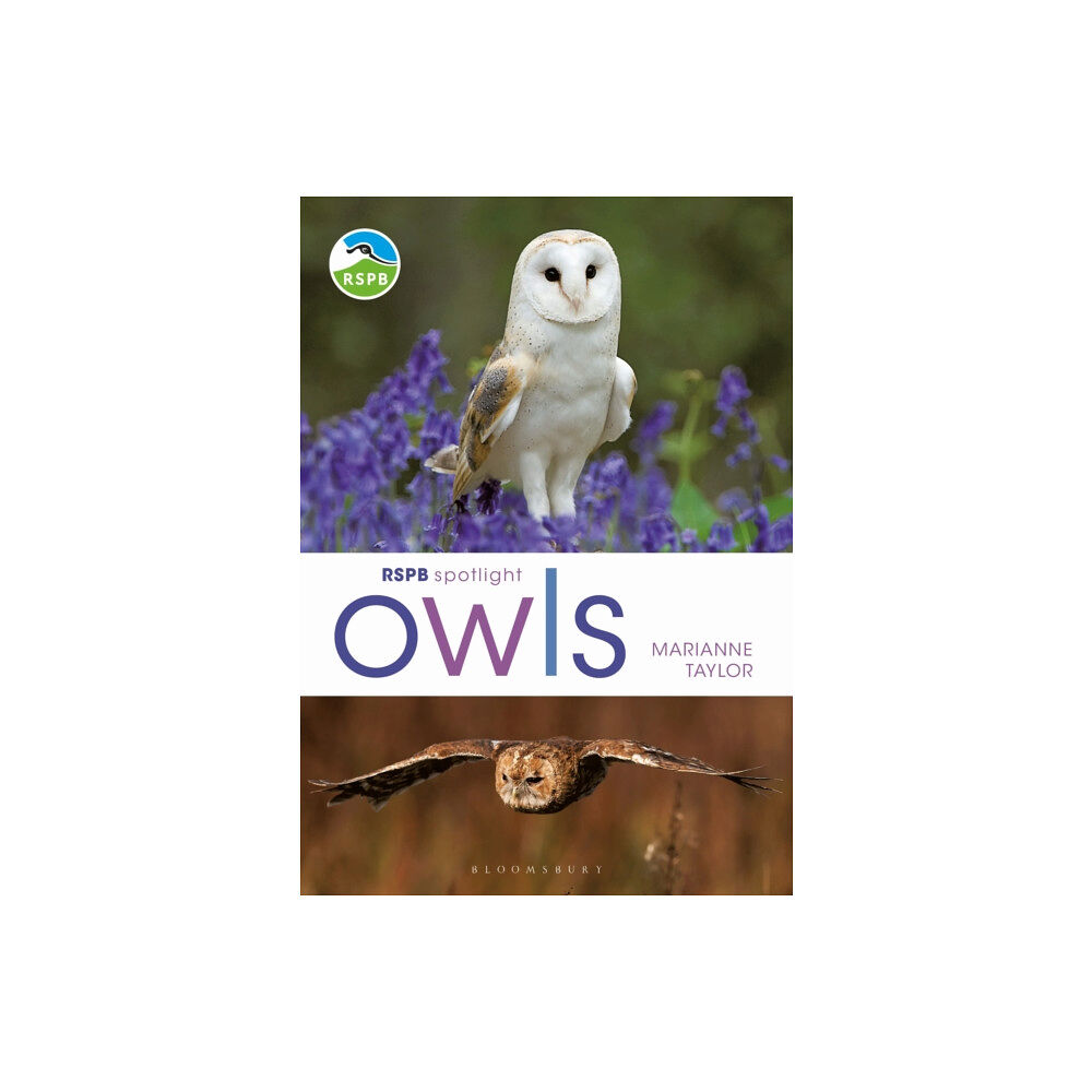 Bloomsbury Publishing PLC RSPB Spotlight Owls (häftad, eng)