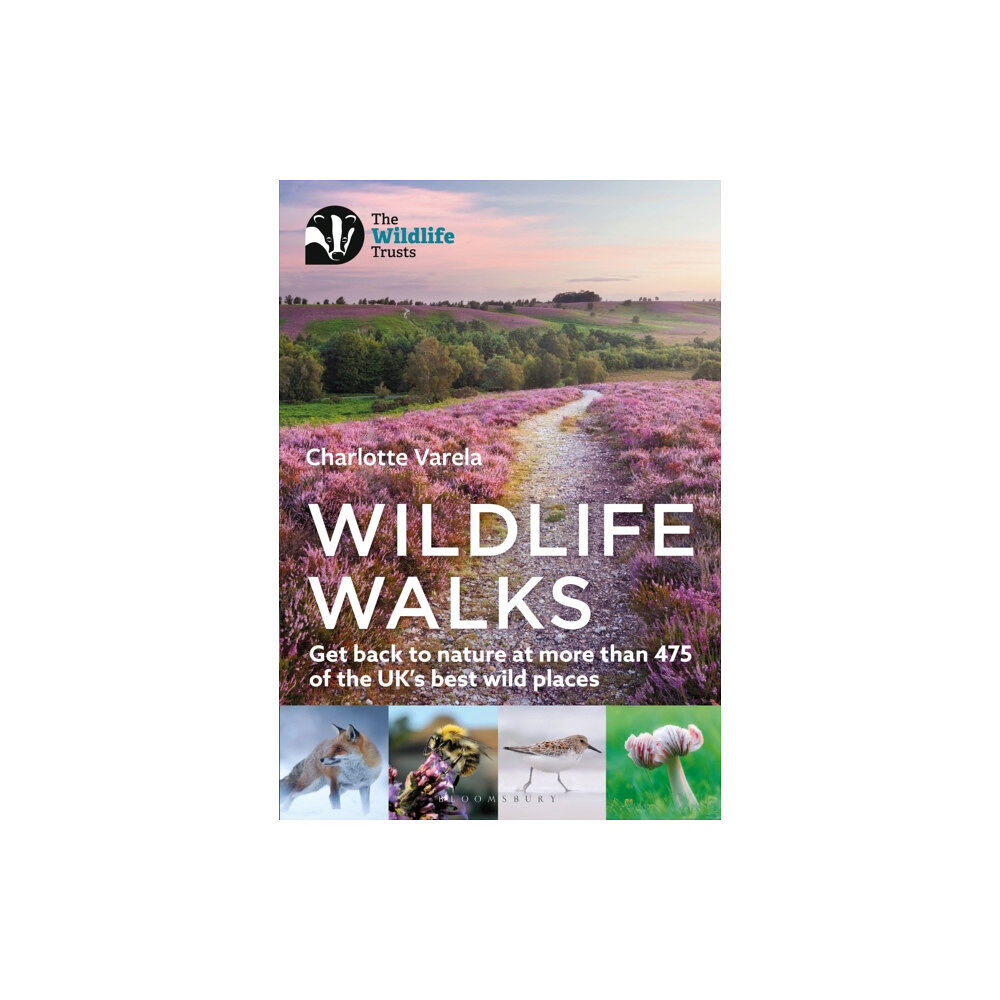 Bloomsbury Publishing PLC Wildlife Walks (häftad, eng)