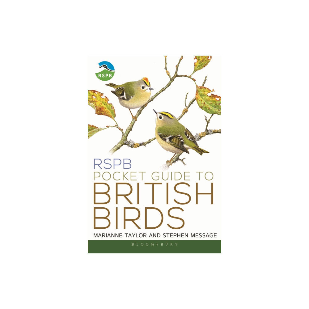 Bloomsbury Publishing PLC RSPB Pocket Guide to British Birds (häftad, eng)