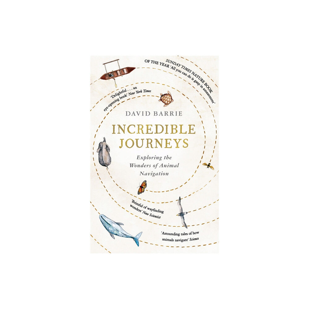 Hodder & Stoughton Incredible Journeys (häftad, eng)