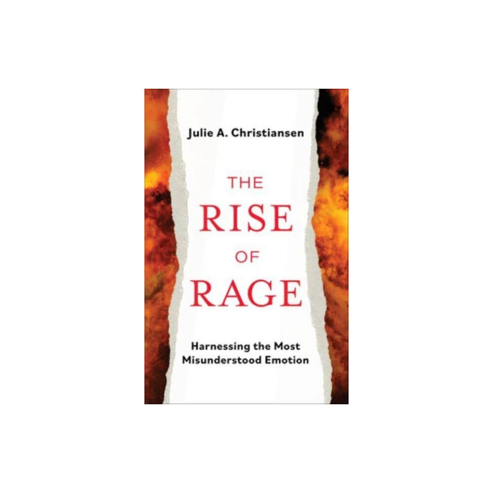 Augsburg Fortress Publishers The Rise of Rage (inbunden, eng)