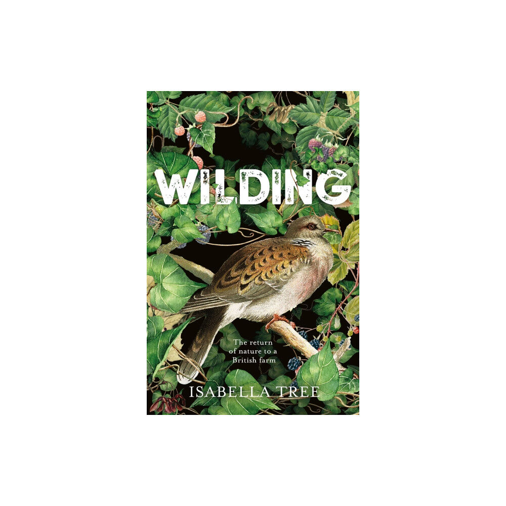 Pan Macmillan Wilding (inbunden, eng)