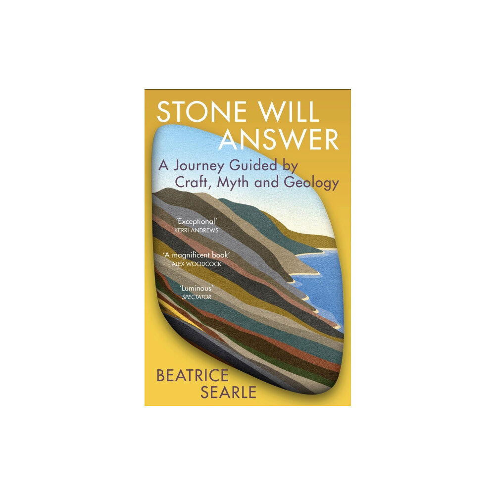 Vintage Publishing Stone Will Answer (häftad, eng)