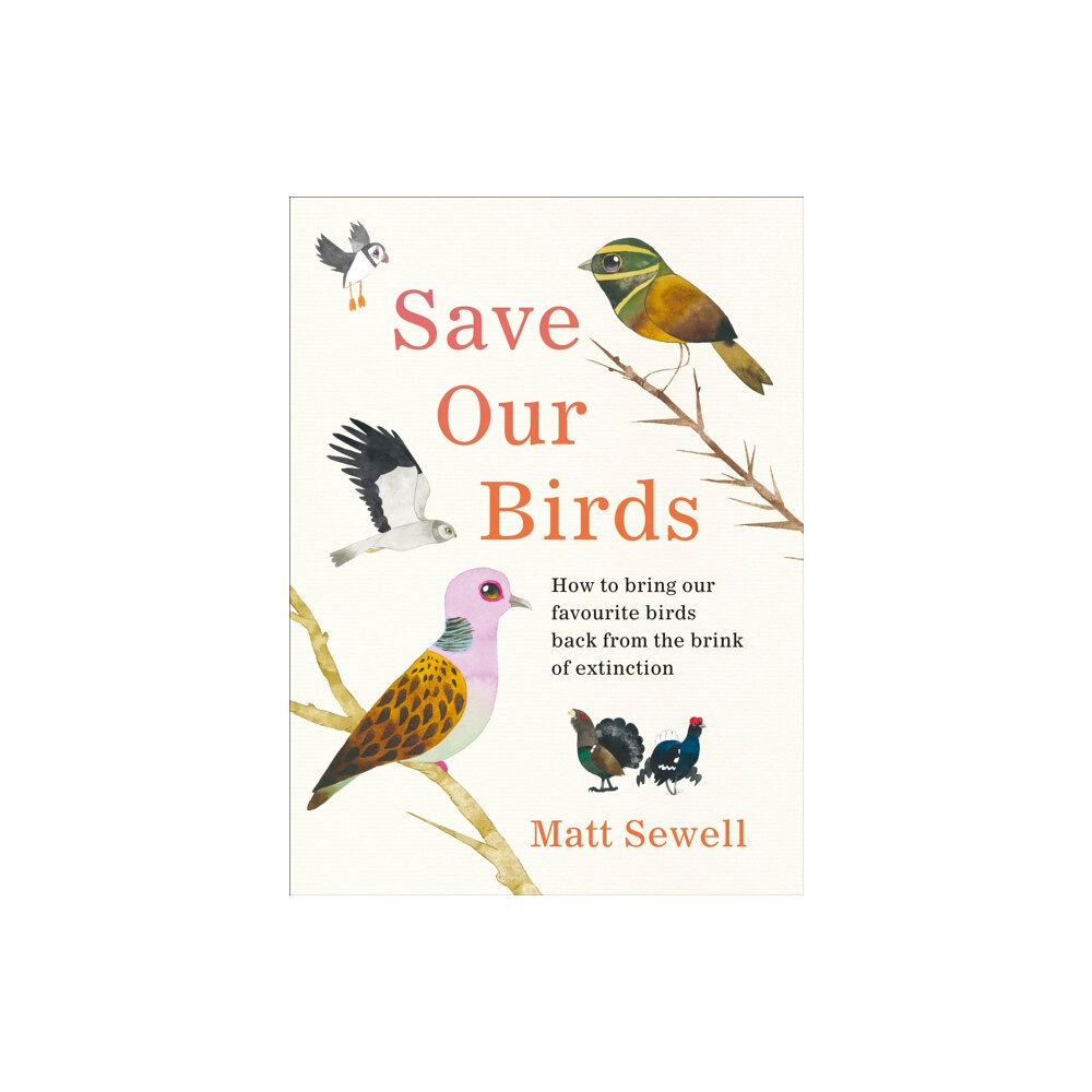 Ebury Publishing Save Our Birds (inbunden, eng)