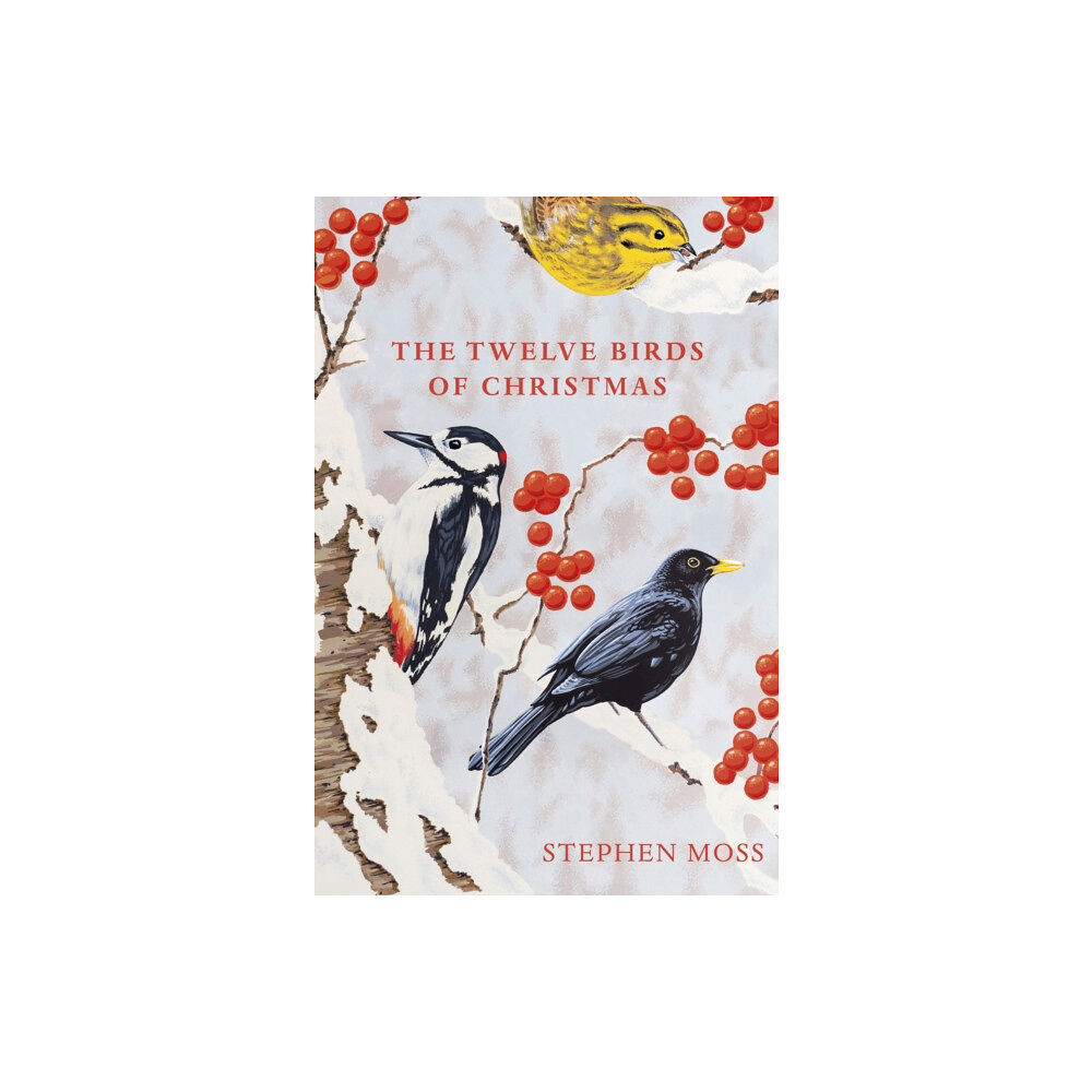 Vintage Publishing The Twelve Birds of Christmas (inbunden, eng)