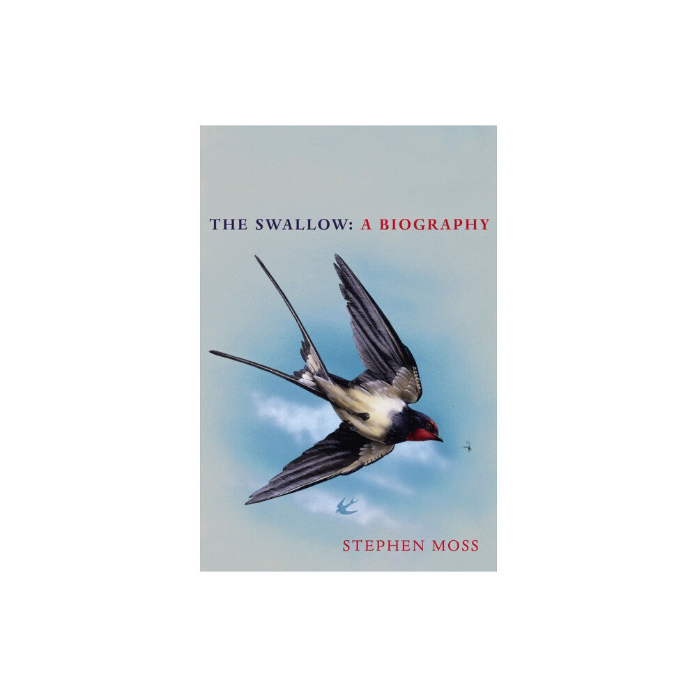 Vintage Publishing The Swallow (inbunden, eng)