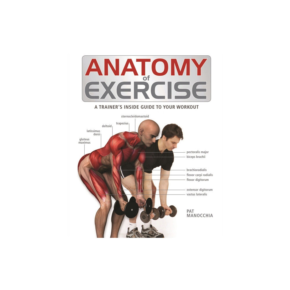 Firefly Books Ltd Anatomy of Exercise (häftad, eng)
