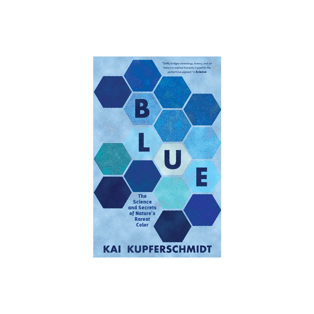 The Experiment LLC Blue (häftad, eng)