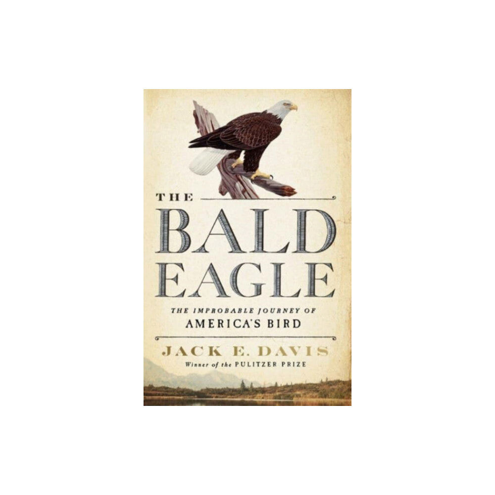 W W Norton & Co Ltd The Bald Eagle (inbunden, eng)