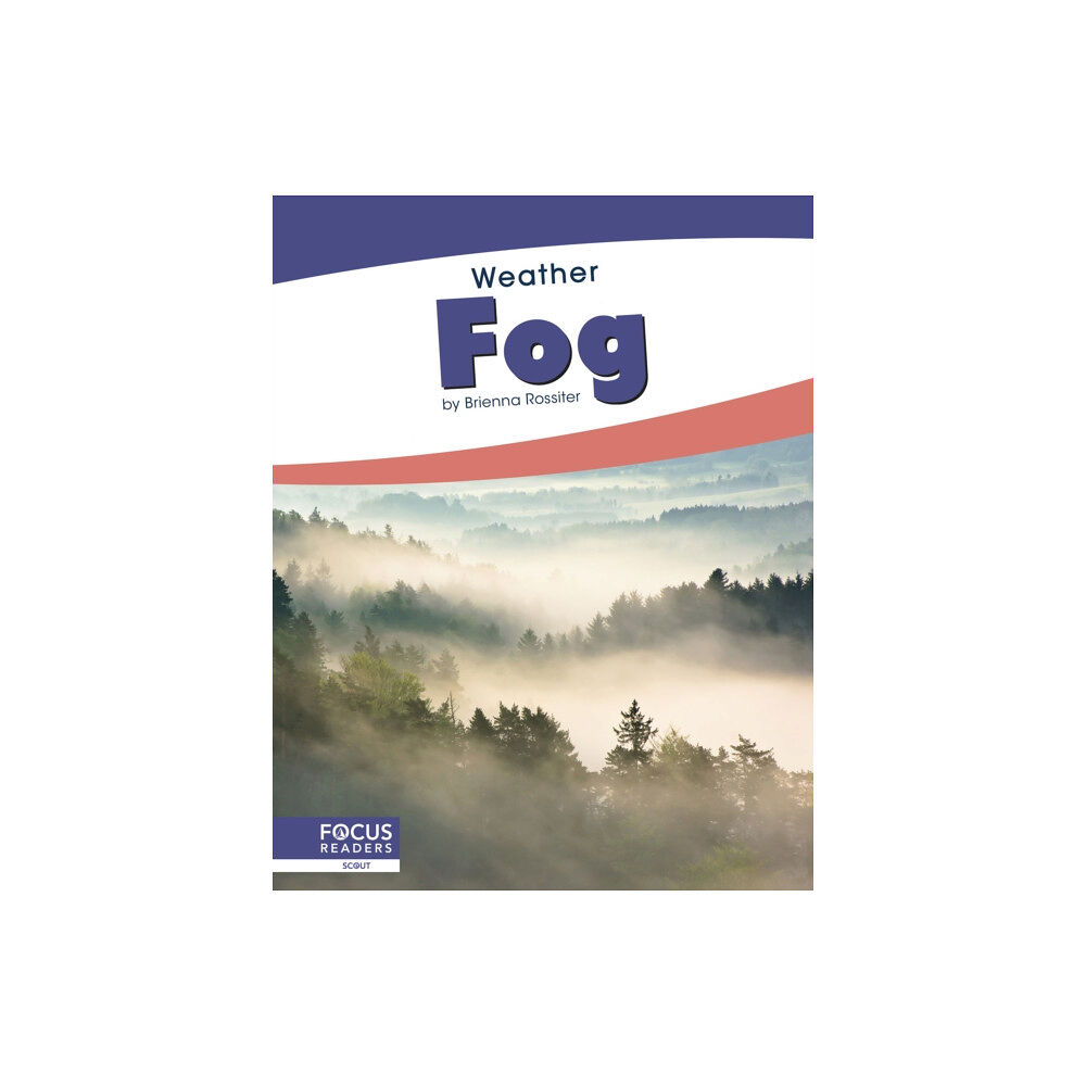 North Star Editions Fog (häftad, eng)