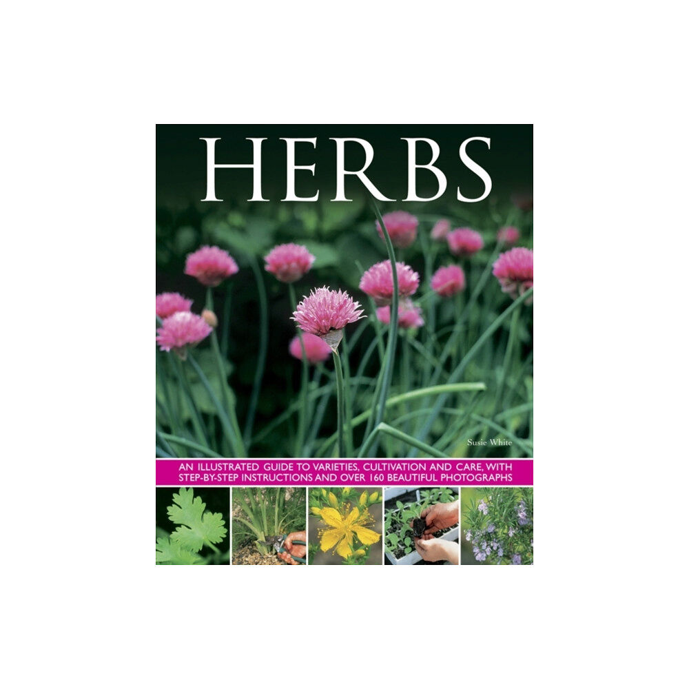 Anness publishing Herbs (inbunden, eng)