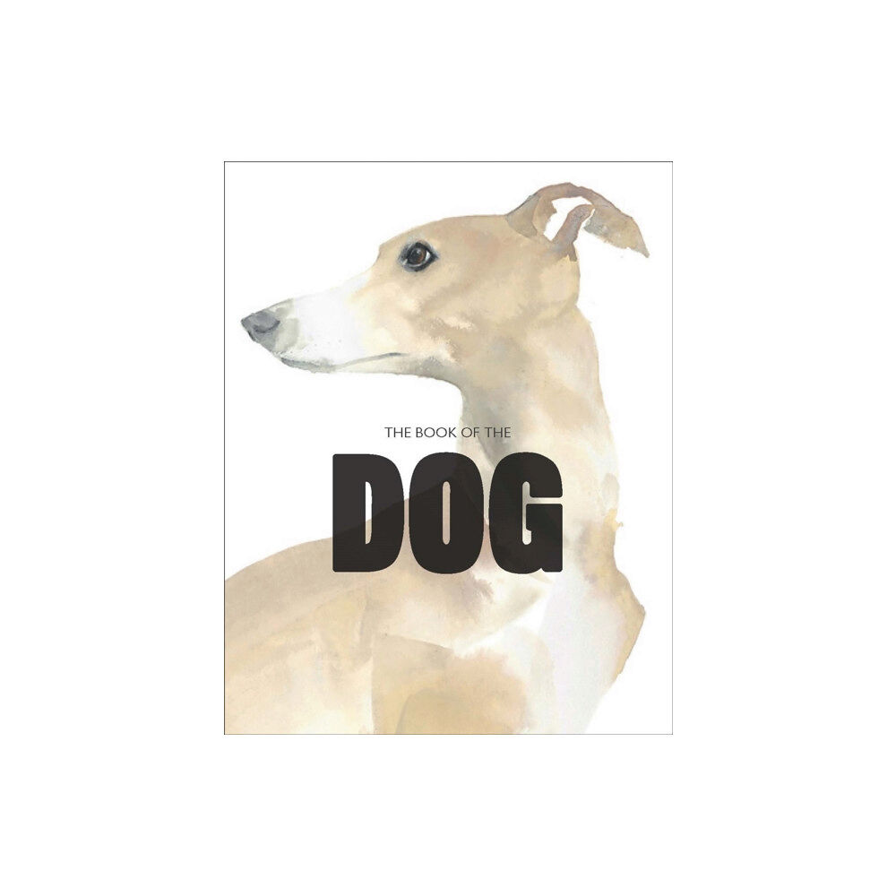 Orion Publishing Co The Book of the Dog (häftad, eng)