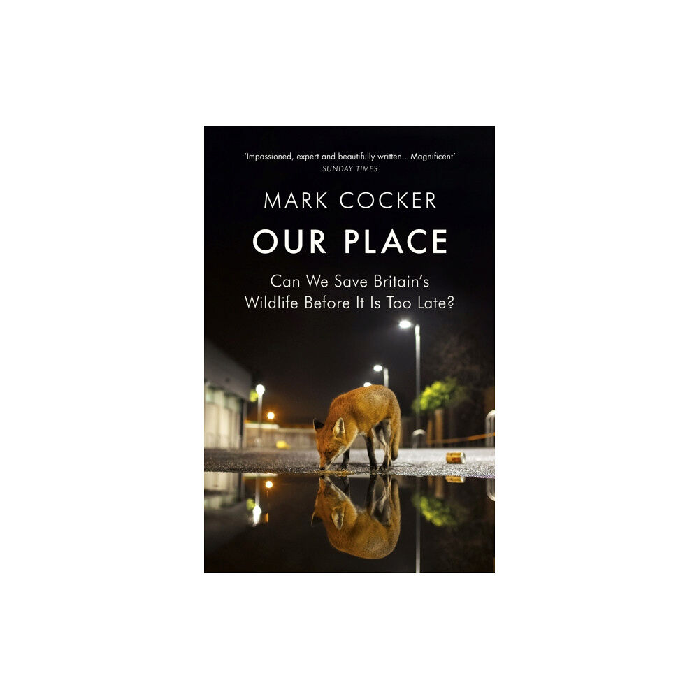 Vintage Publishing Our Place (häftad, eng)