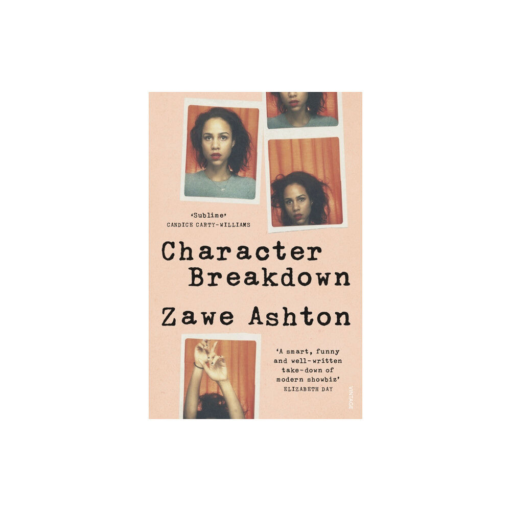 Vintage Publishing Character Breakdown (häftad, eng)