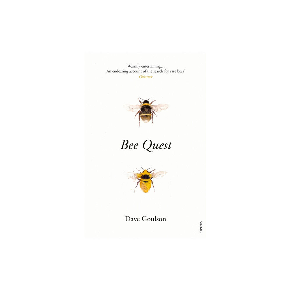 Vintage Publishing Bee Quest (häftad, eng)