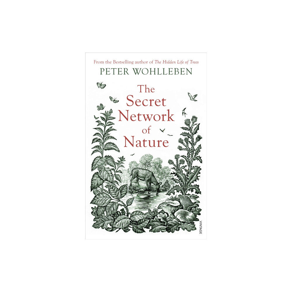 Vintage Publishing The Secret Network of Nature (häftad, eng)