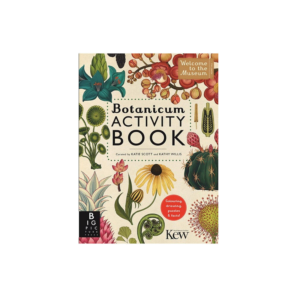 Templar Books Botanicum Activity Book (häftad, eng)