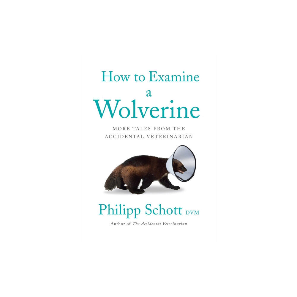 ECW Press,Canada How to Examine a Wolverine (häftad, eng)