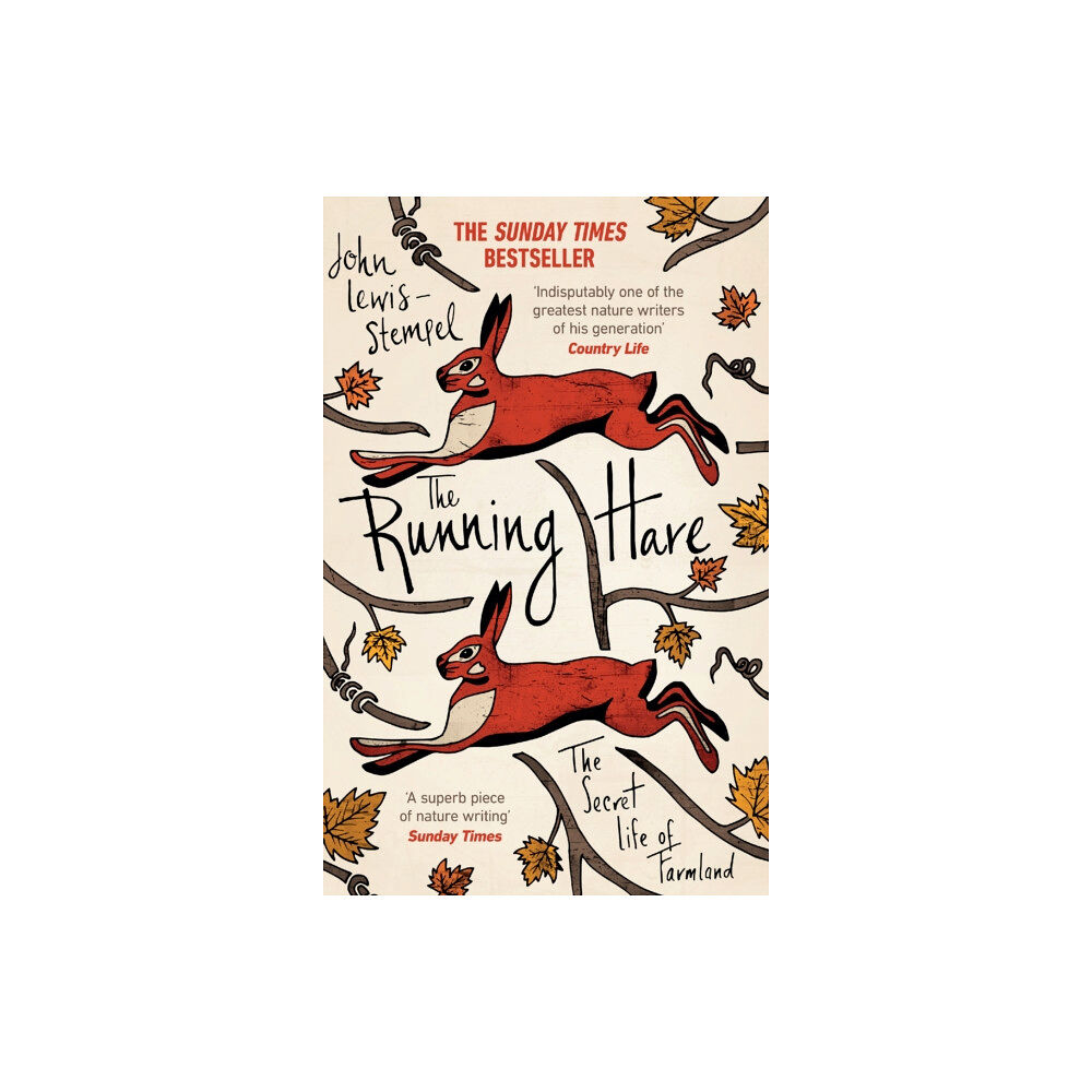 Transworld publishers ltd The Running Hare (häftad, eng)