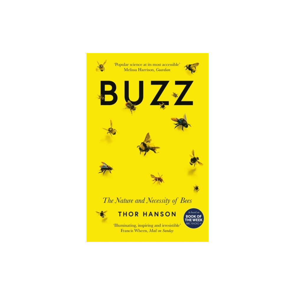 Icon Books Buzz (häftad, eng)