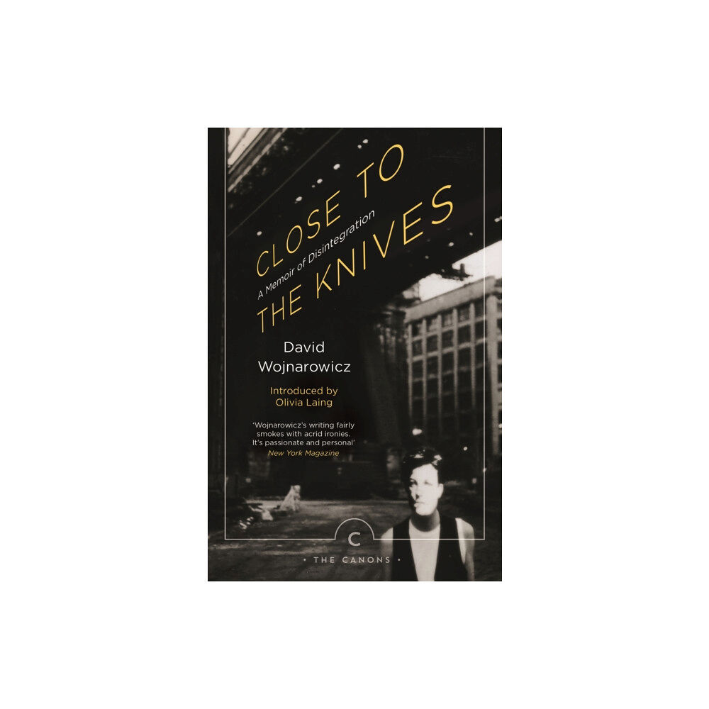 Canongate Books Close to the Knives (häftad, eng)