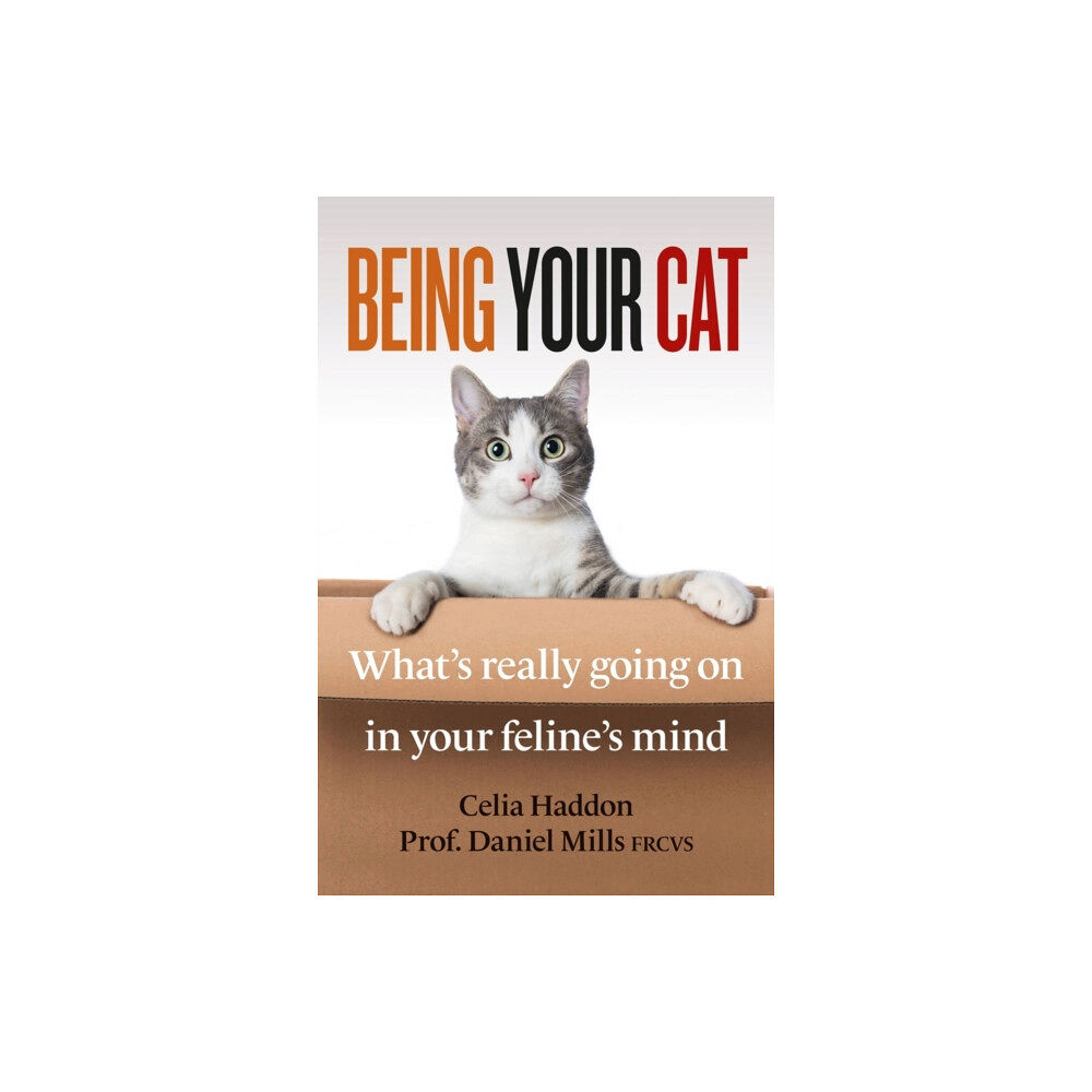 Octopus publishing group Being Your Cat (häftad, eng)