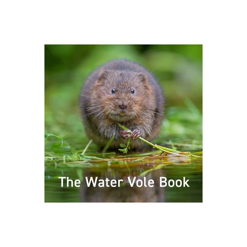 Graffeg Limited Nature Book Series: The Water Vole Book (inbunden, eng)