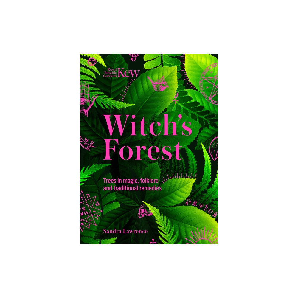 Headline Publishing Group Witch's Forest (inbunden, eng)