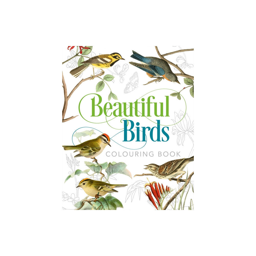 Arcturus publishing ltd Beautiful Birds Colouring Book (häftad, eng)