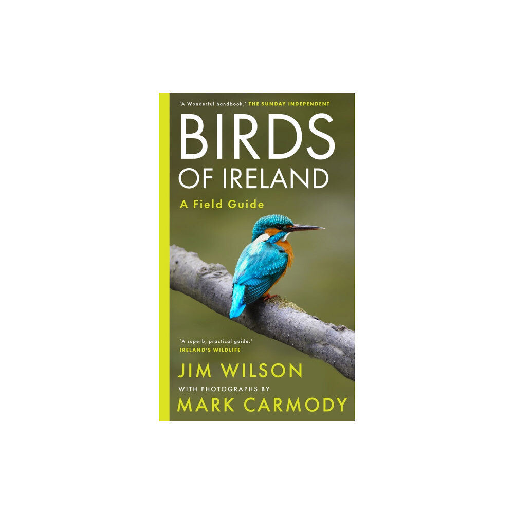 Gill Birds of Ireland (häftad, eng)