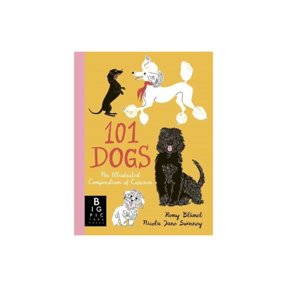 Templar Books 101 Dogs (inbunden, eng)