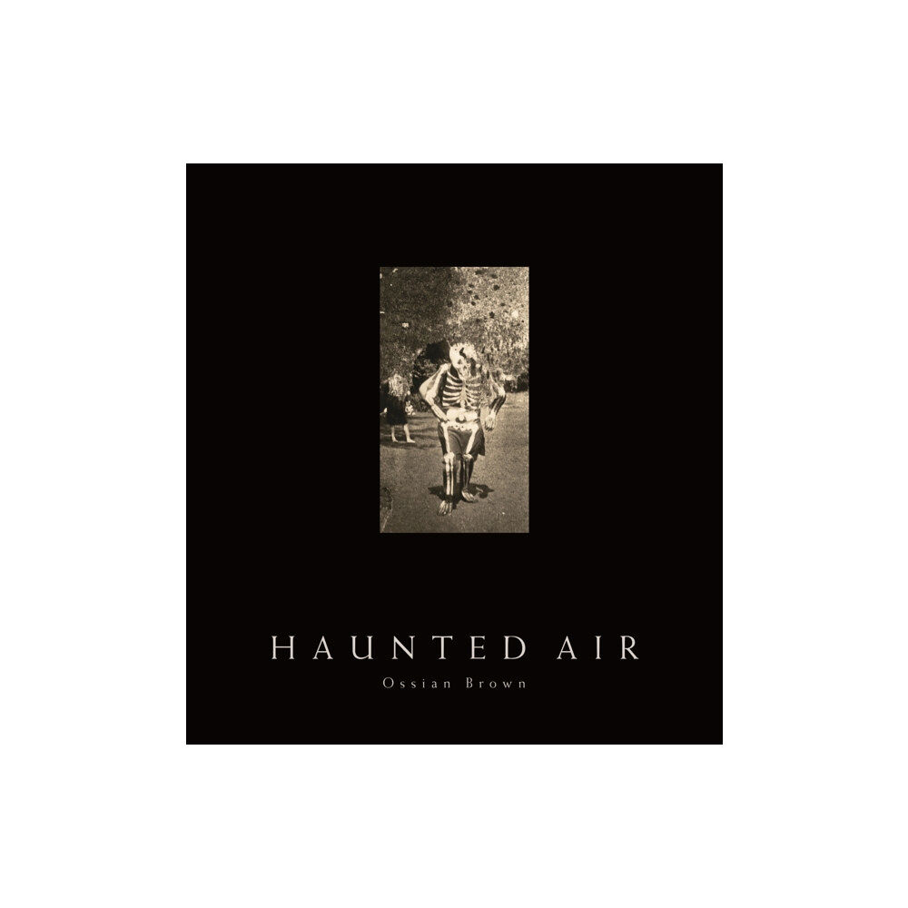 Vintage Publishing Haunted Air (inbunden, eng)